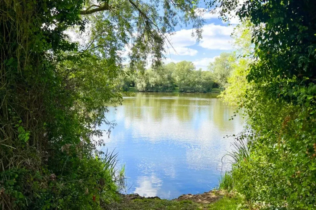 Priory Country Park is a lovely green space near the centre of Bedford