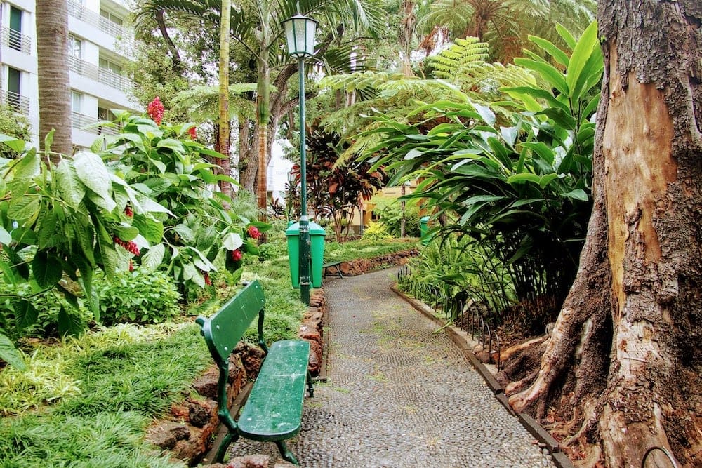 Jardim Municipal do Funchal is a peaceful & leafy park in the centre of town