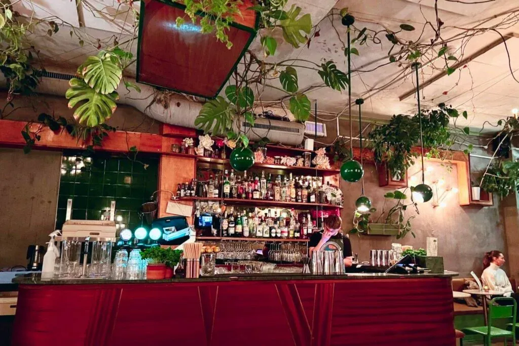 Plants galore at Botanske, a 100% plant-based cocktail bar